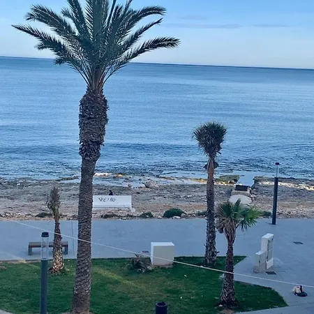 Felix De La Fuente Torrevieja